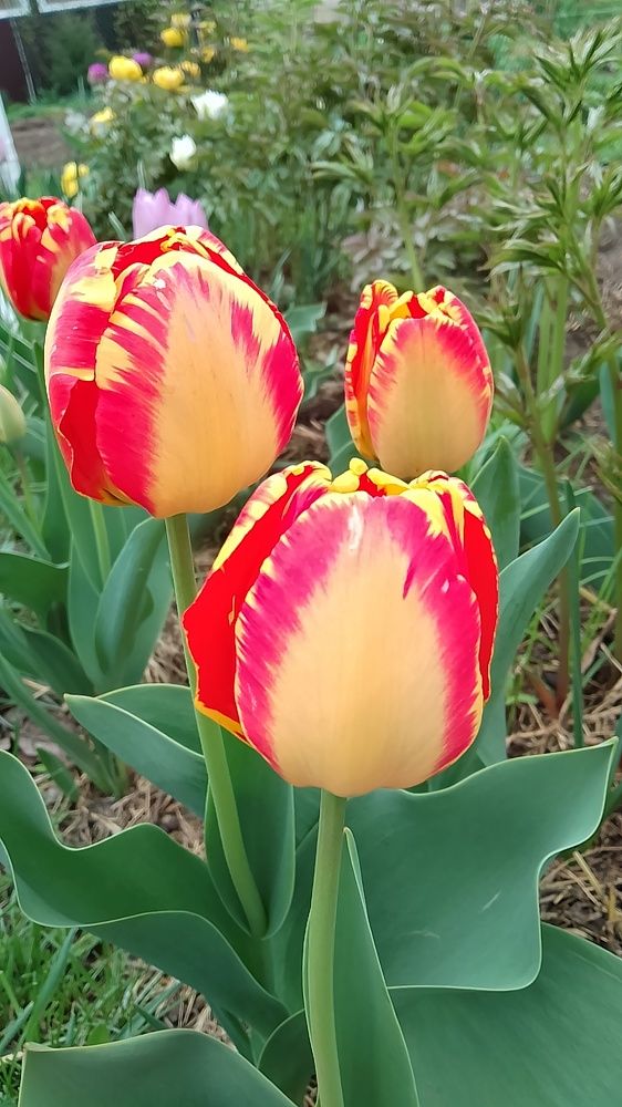 Photograph by Елена Мясникова