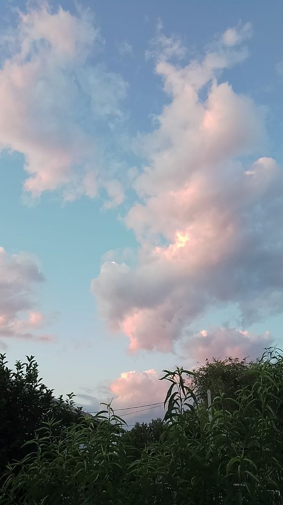 Photograph by Елена Мясникова