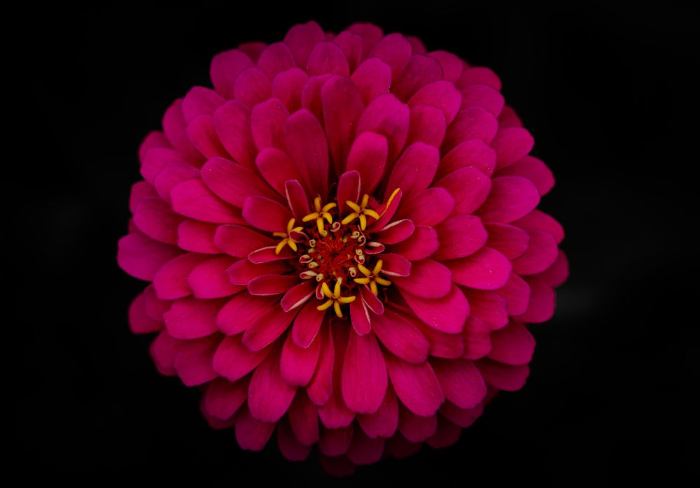 Photograph by Mostafa Mortazavi