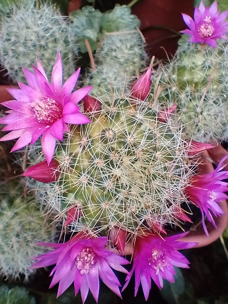 Photograph by Елена Мясникова