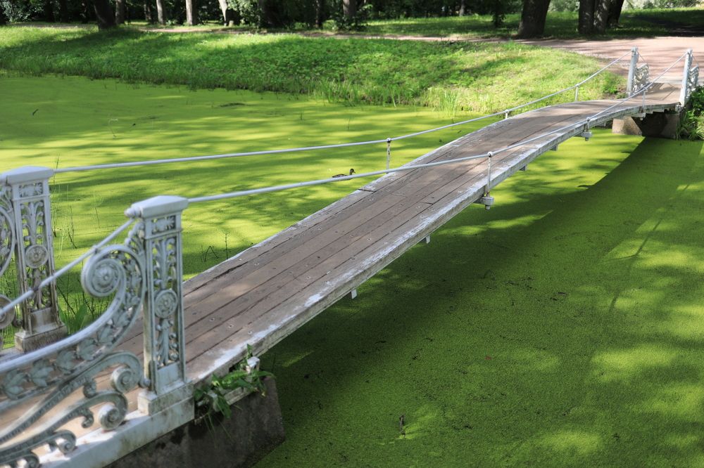 Photograph by Владимир Грибков