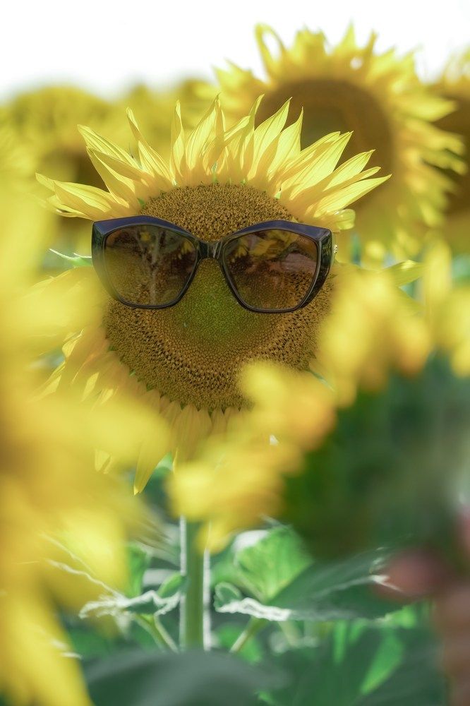 Photograph by Марина Суздаль