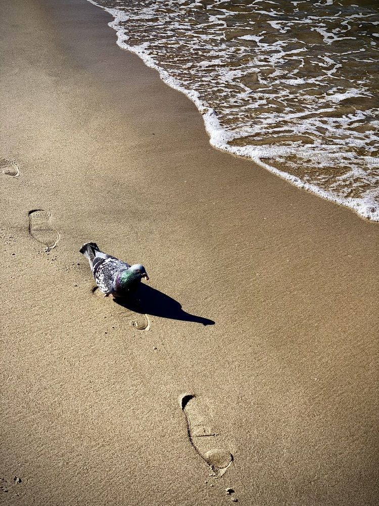 Photograph by Наталья Никитина