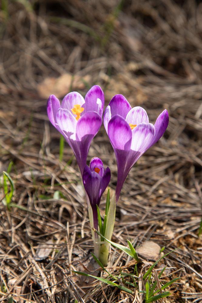 Photograph by Татьяна Алексеева