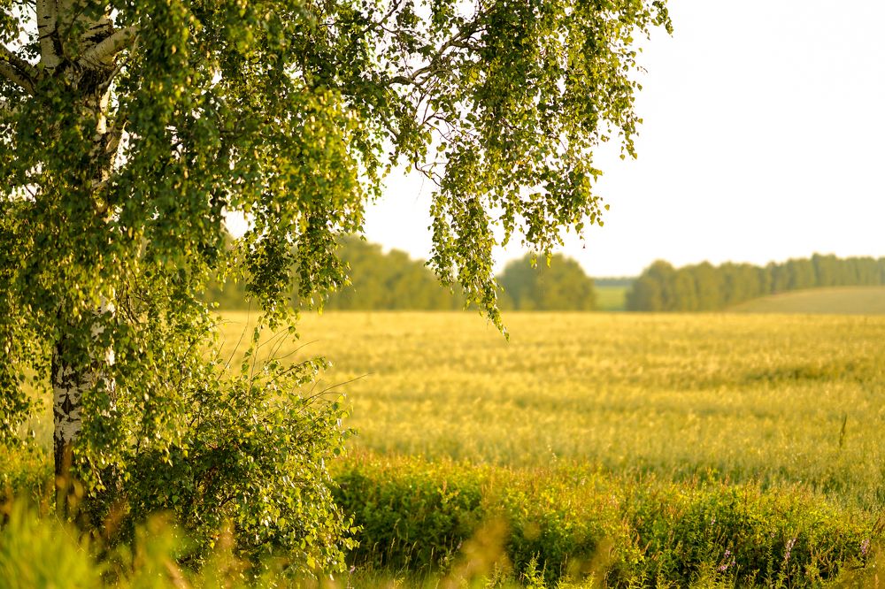 Photograph by Ирина Куляшова