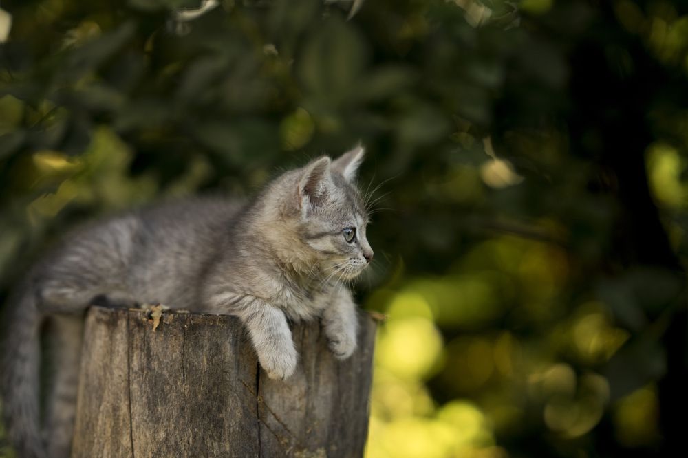 Photograph by Ирина Куляшова