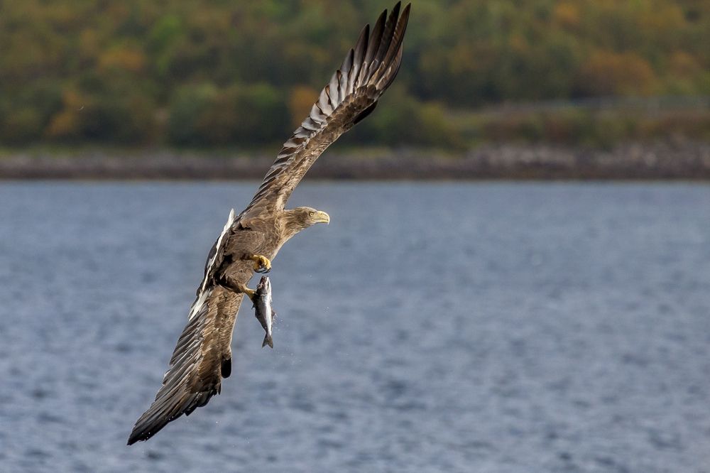 Photograph by Геннадий