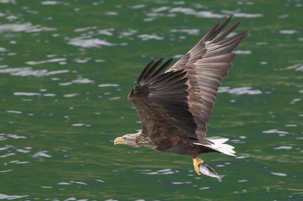 Photograph by Геннадий