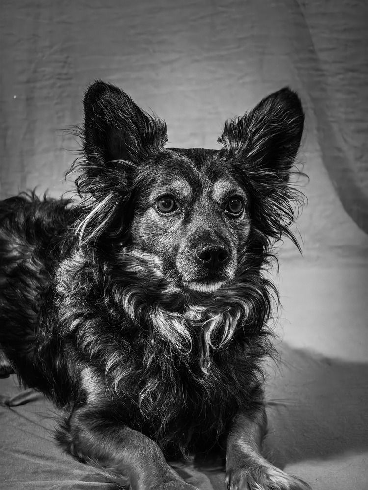 Photograph by Сергей Гриднев