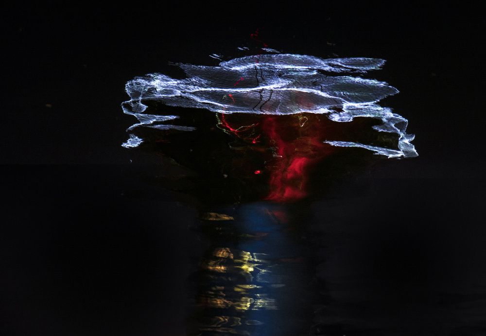 Фотография автора Ольга Лихтарь