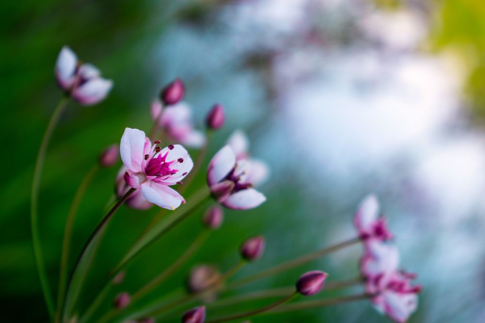 Фотография автора Алексей