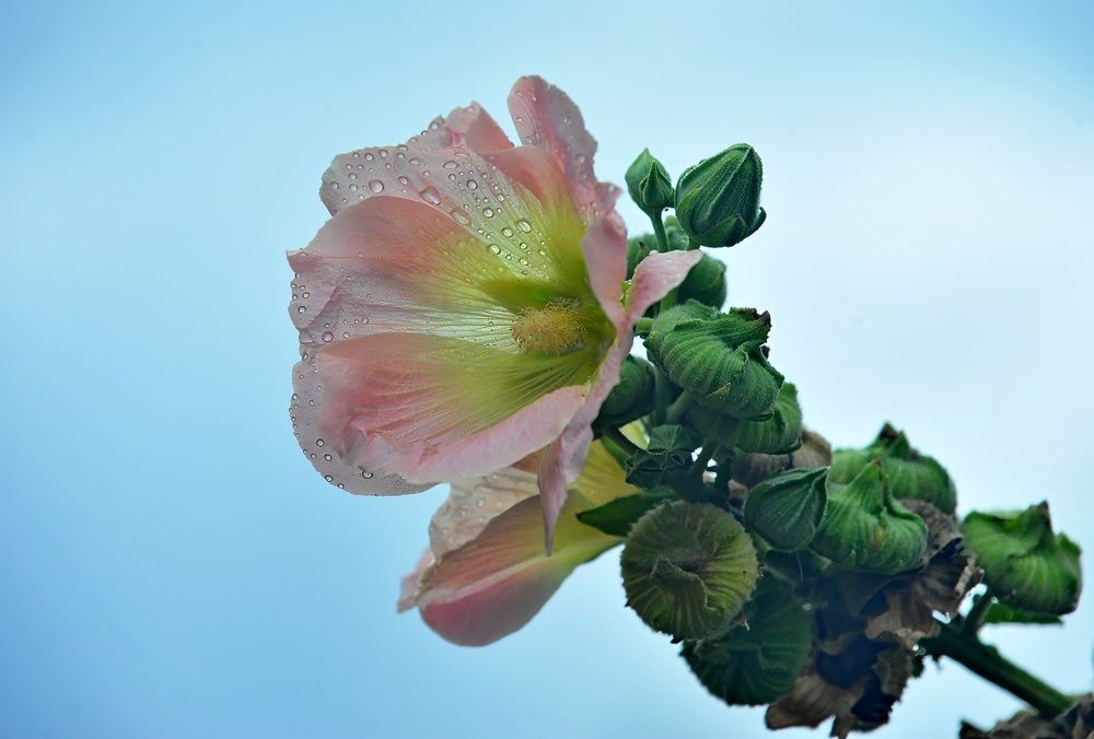 Photograph by Алексей Volg