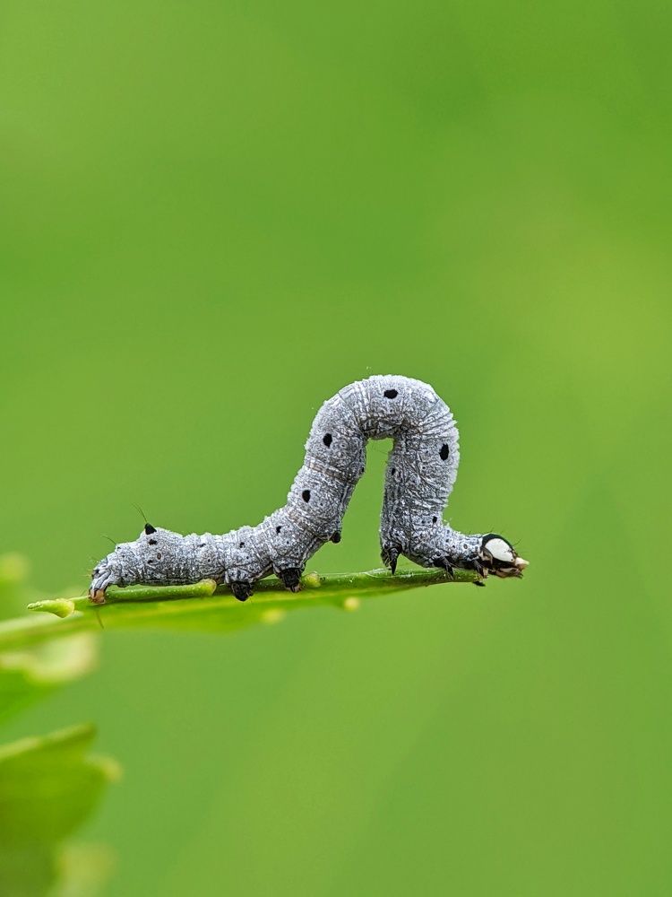 Photograph by Sai Krishna