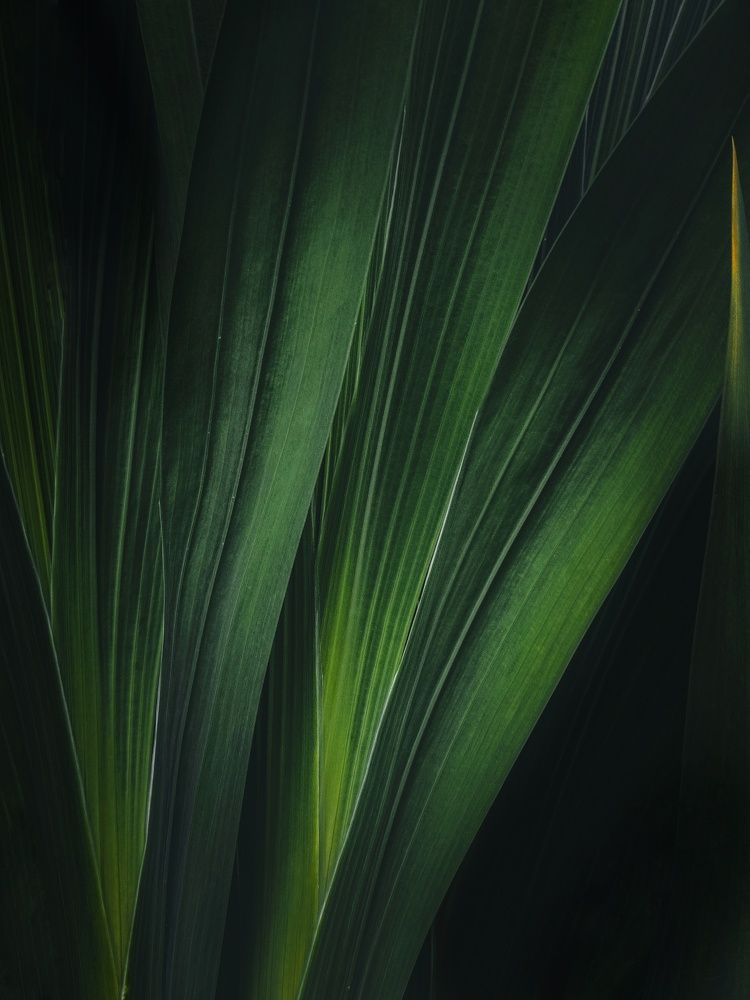 Photograph by Кристина Полякова