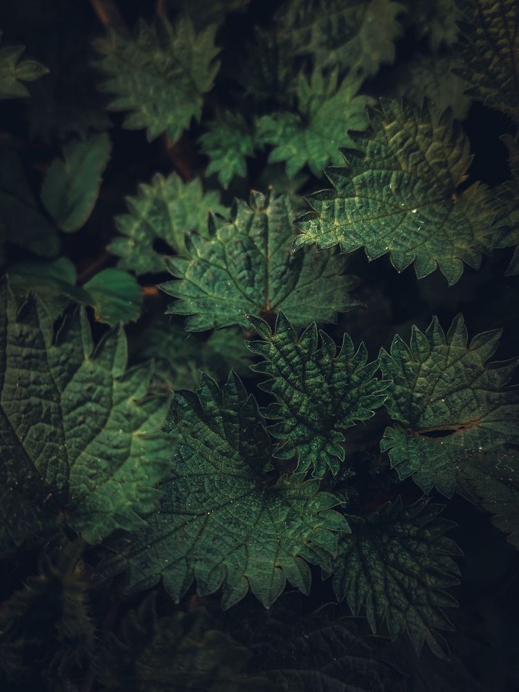 Photograph by Кристина Полякова