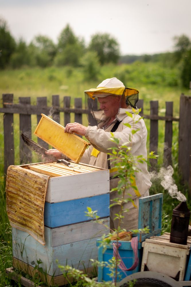 Photograph by Лина Матвеева