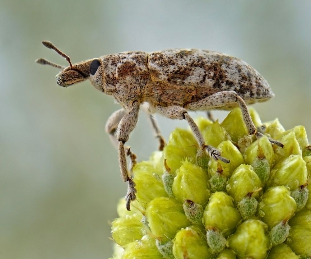 Photograph by Наталья Соколова