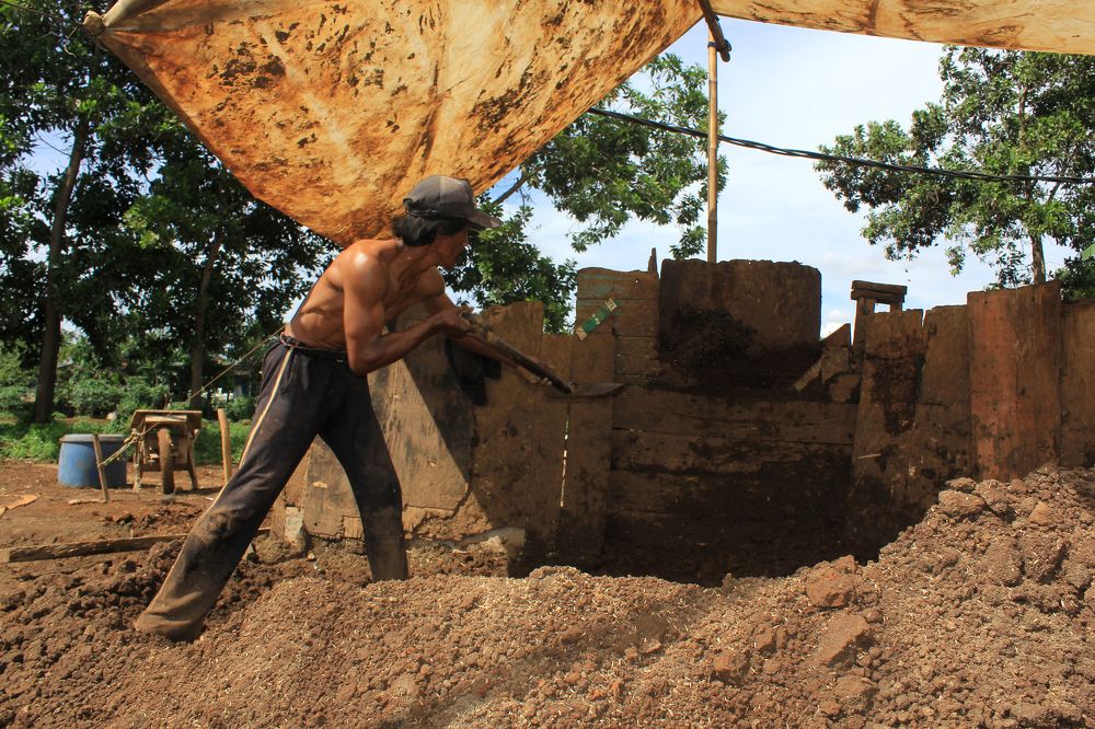 Photograph by Baraya Rocky