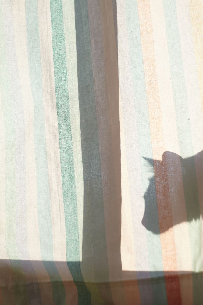 Photograph by Алексей Гунёв