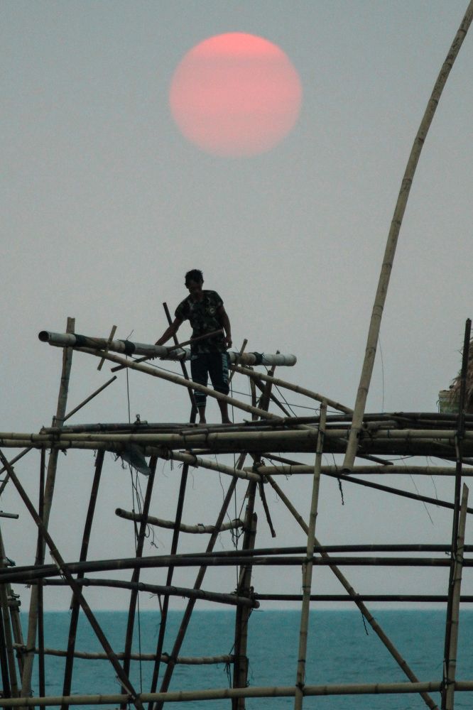 Photograph by Baraya Rocky