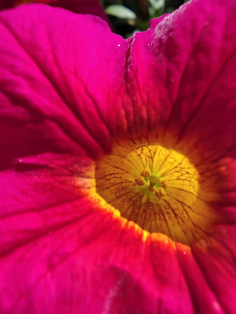 Photograph by Чкареули Светлана