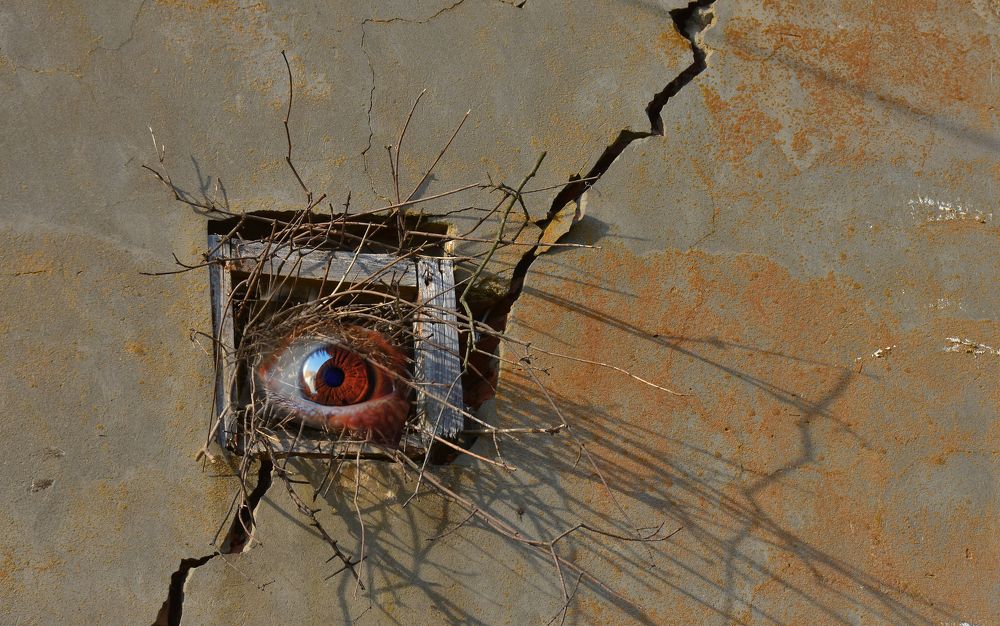 И стены имеют глаза.