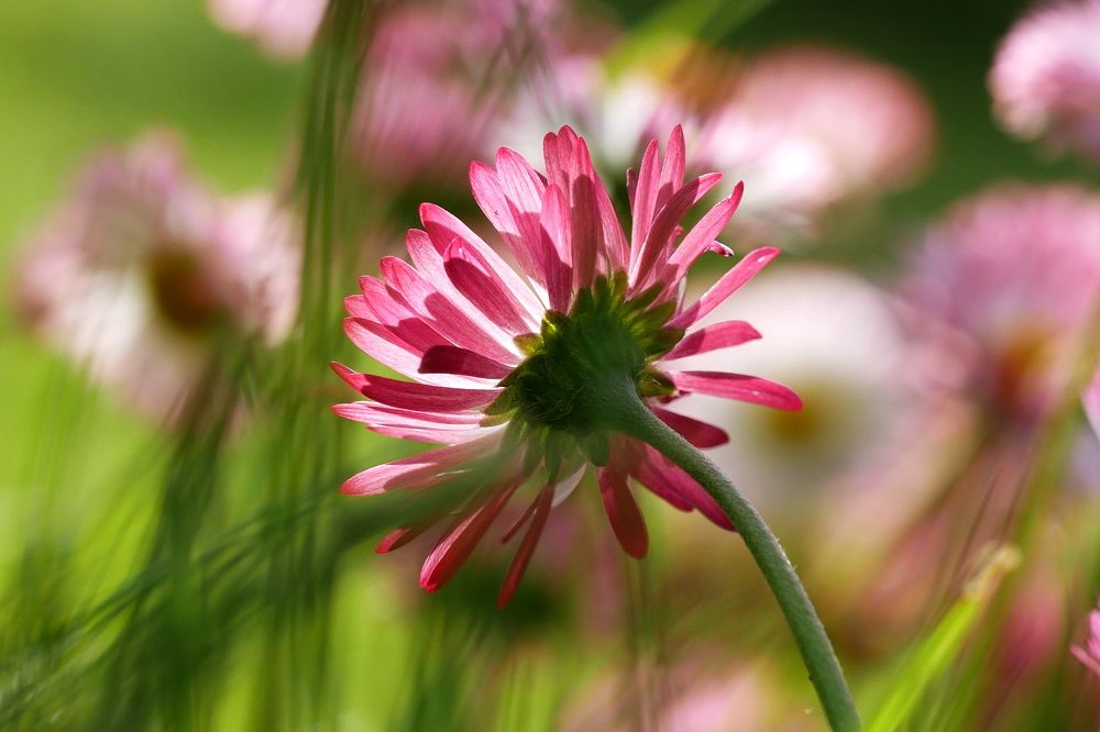 Photograph by Владимир Лобанов