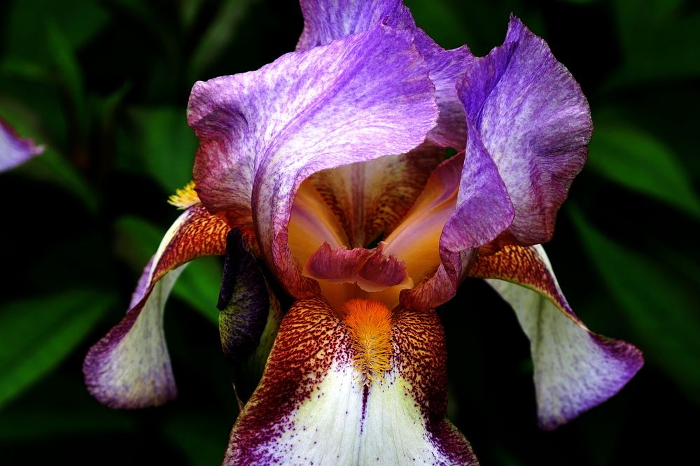 Photograph by Владимир Лобанов