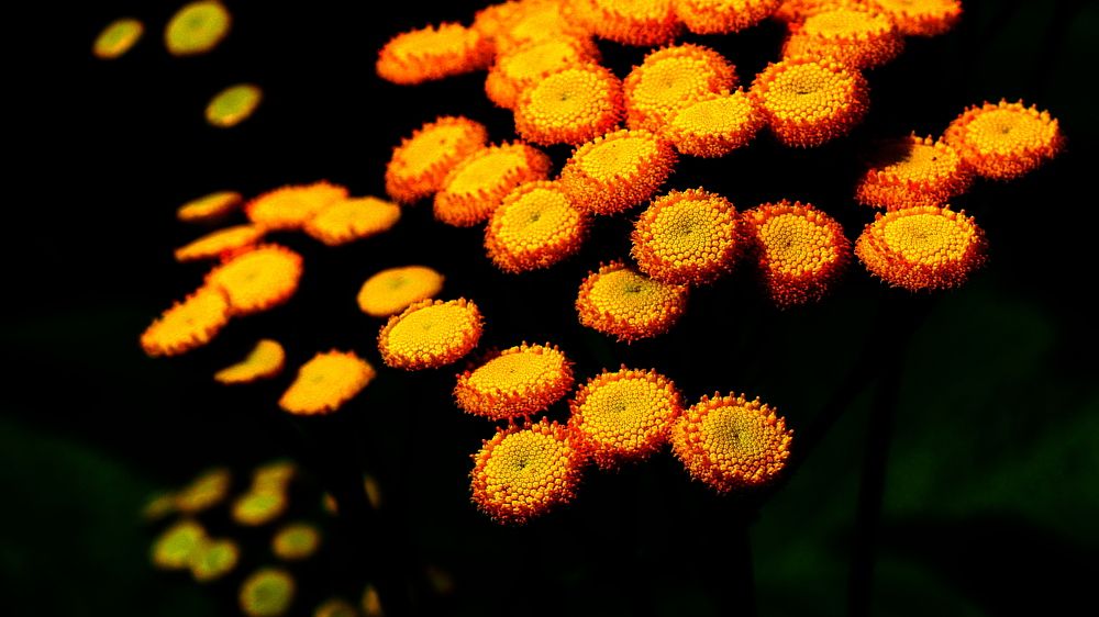 Photograph by Владимир Лобанов