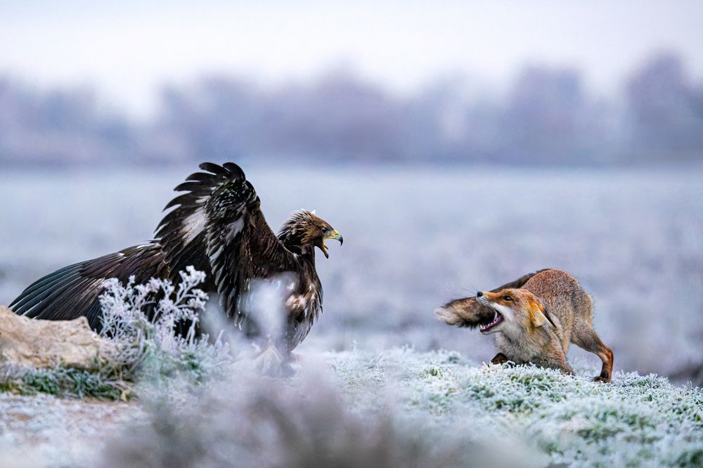 Photograph by Ruzhdi Ibrahimi