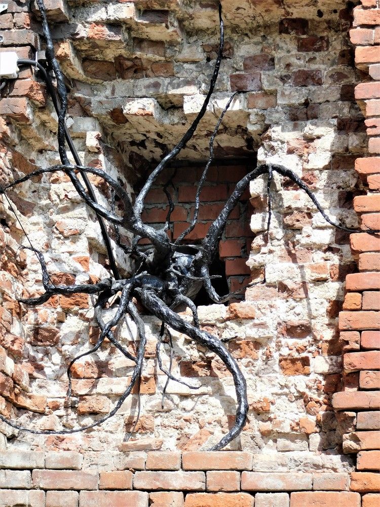 Photograph by Чкареули Светлана