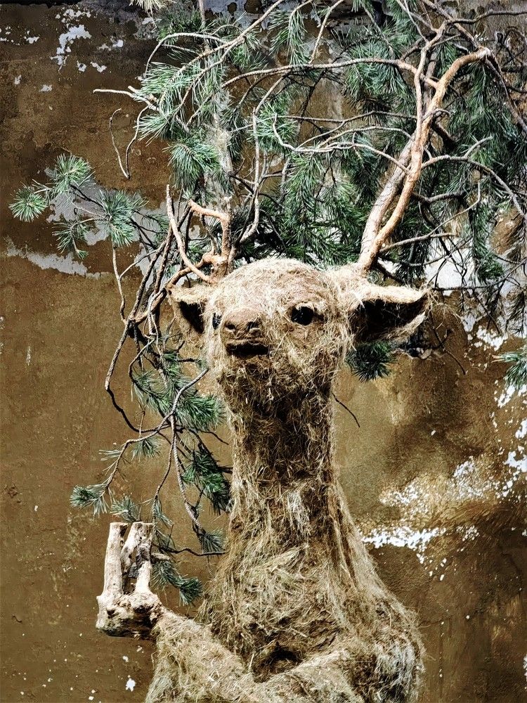 Photograph by Чкареули Светлана