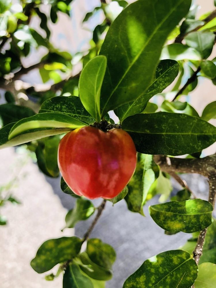 Photograph by Tina Domingos