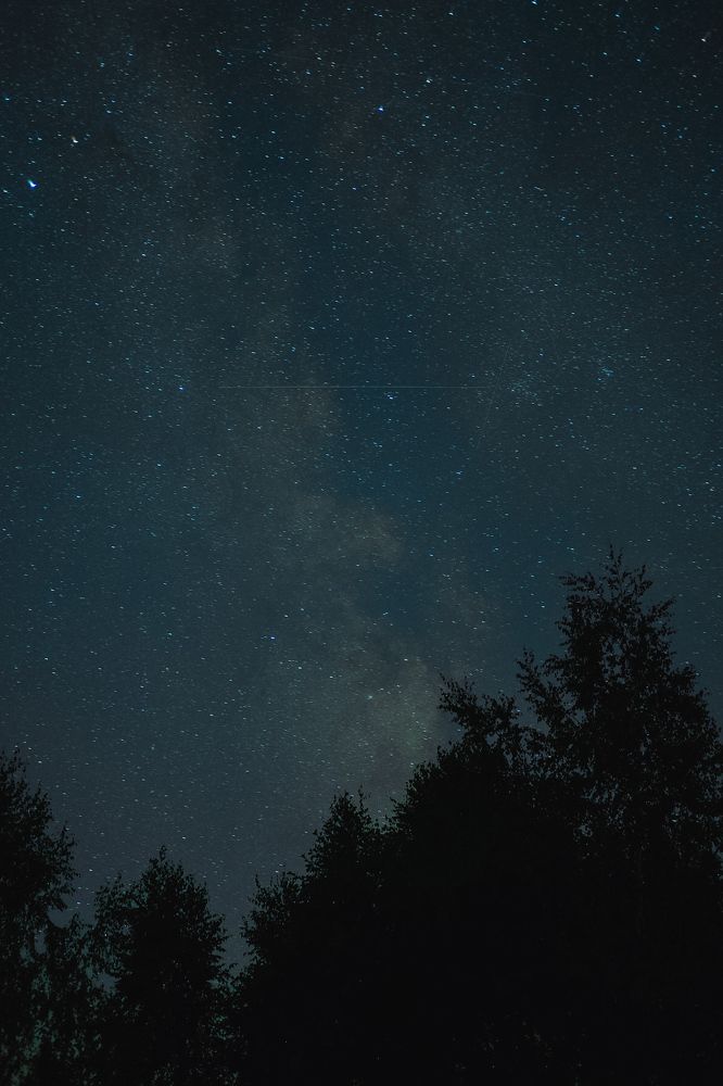 Photograph by Дарья Пысина