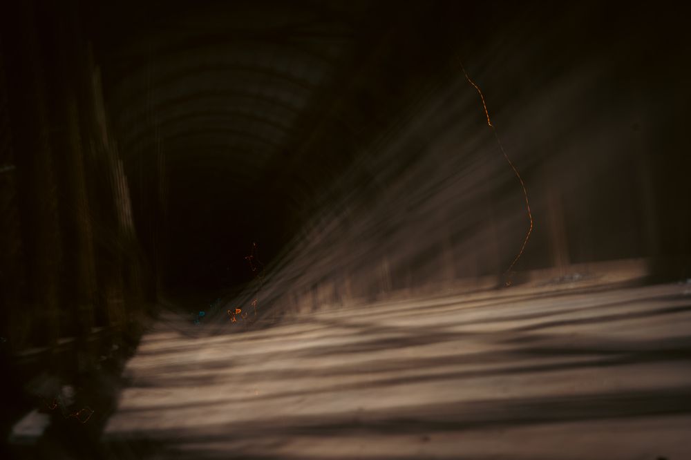 Photograph by Mohammad Al-Amr