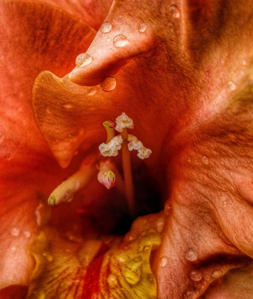 Фотография автора Valerya Vasileva