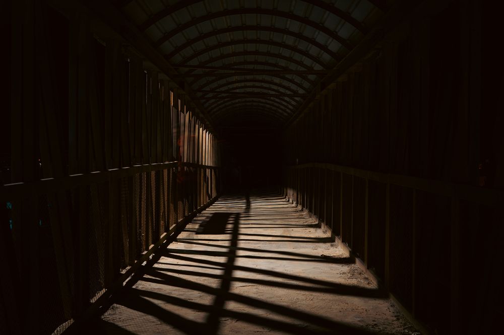 Photograph by Mohammad Al-Amr