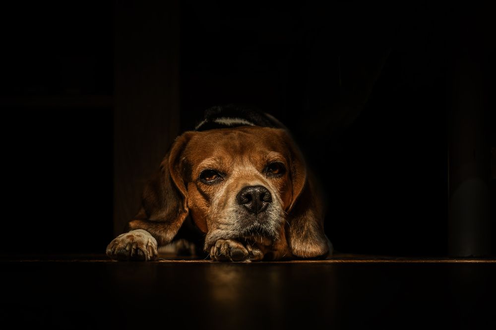 Photograph by Юлия Куликова