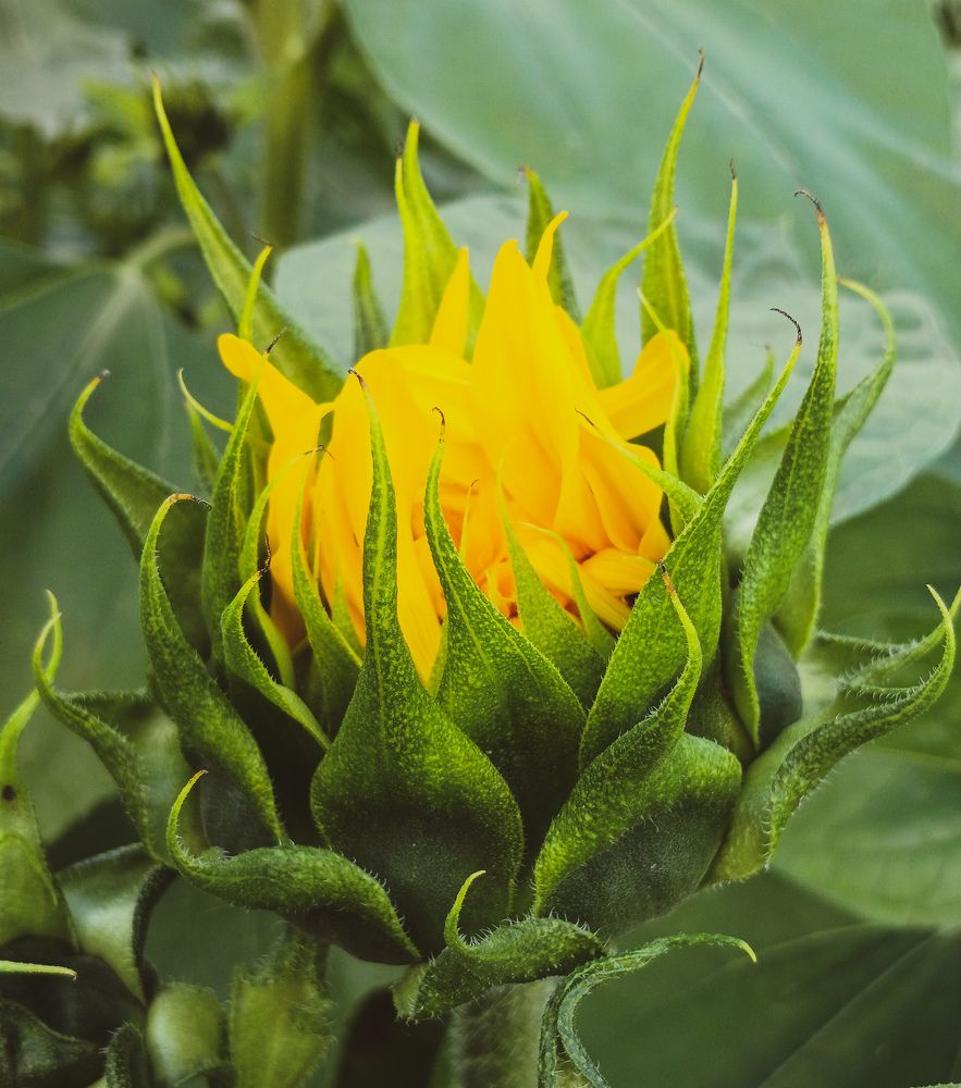 Фотография автора Valerya Vasileva