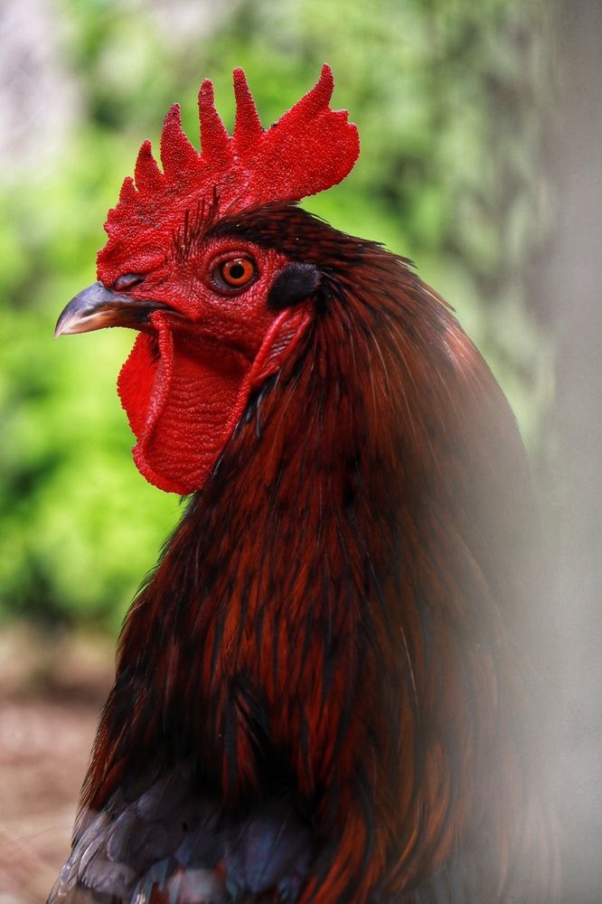 Photograph by Елена Клементьевская