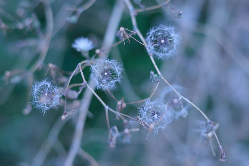 Photograph by Anastasia Sokolskya