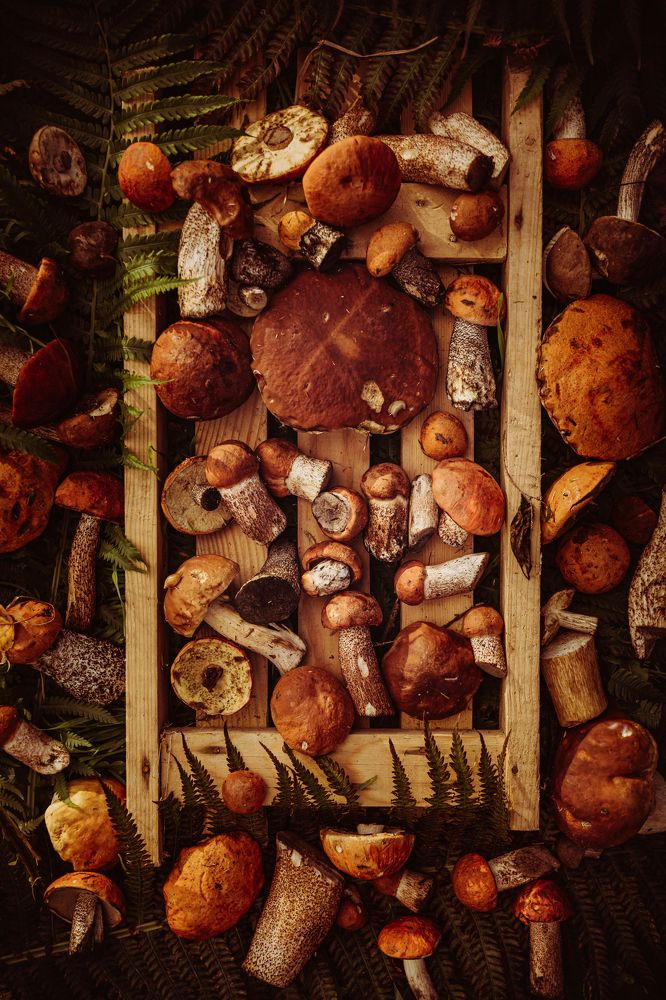 Photograph by Сергей Белокуров