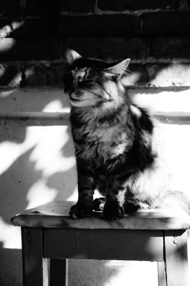 Photograph by Елена Шабельникова