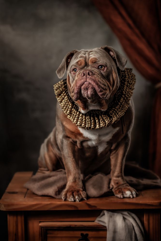 Photograph by Gertrude Goené