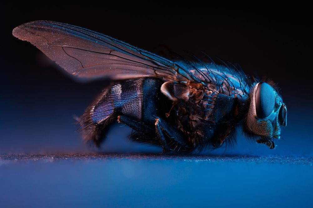 Photograph by Антон Чепуркин