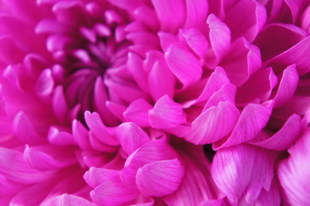 Фотография автора Ксения