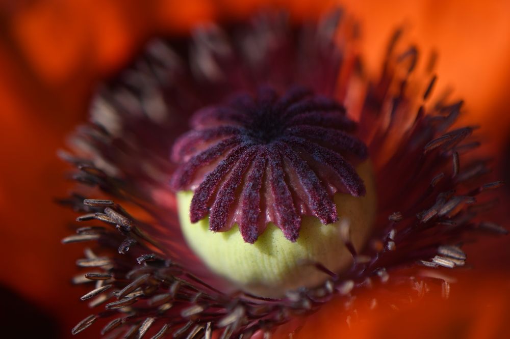 Photograph by Татьяна