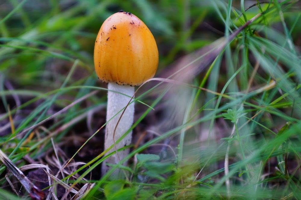 Photograph by Александр Кизим