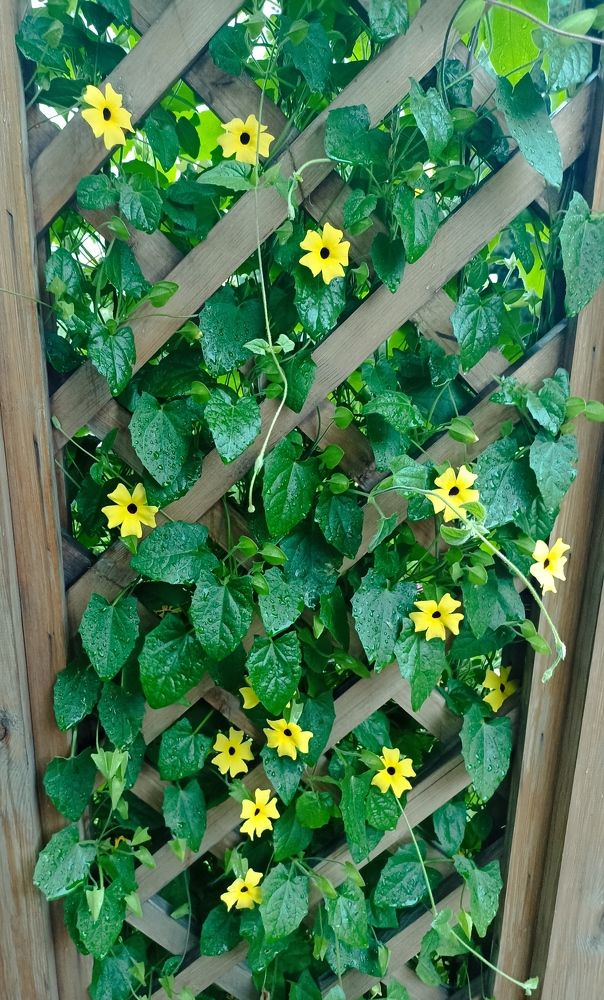 Photograph by Анна Виноградова