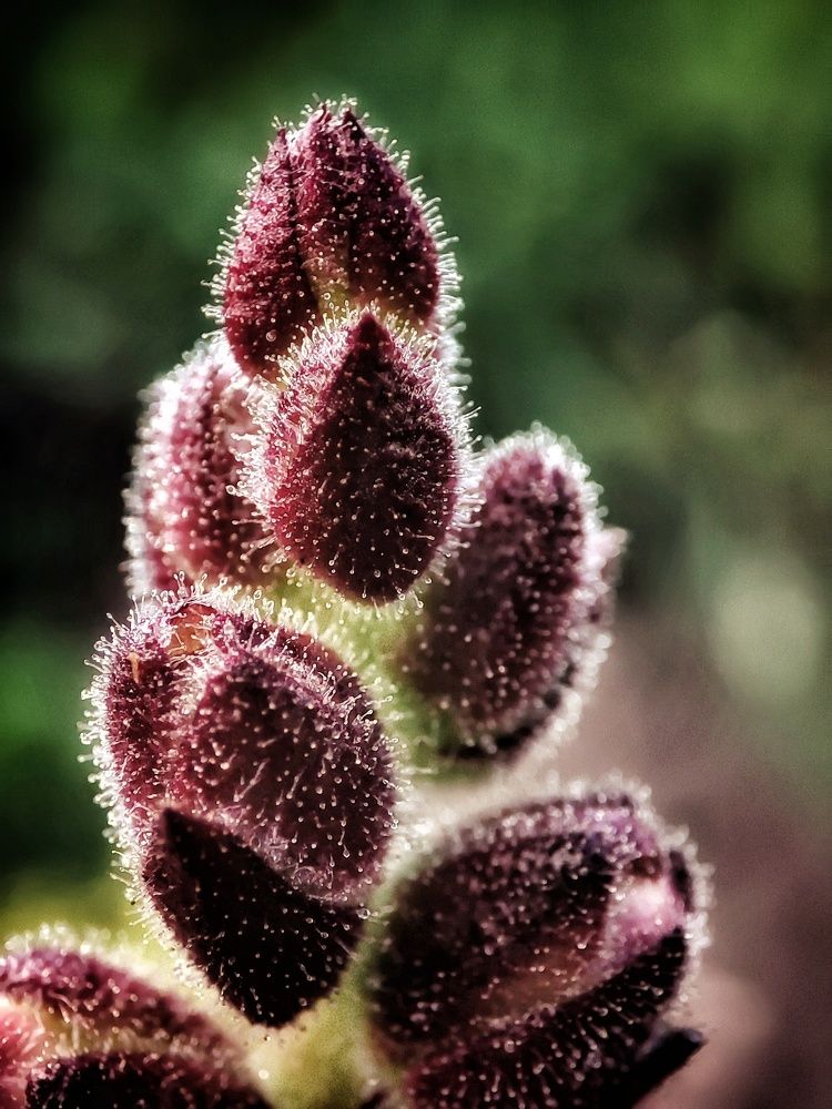 Photograph by Anastasia Malyukova